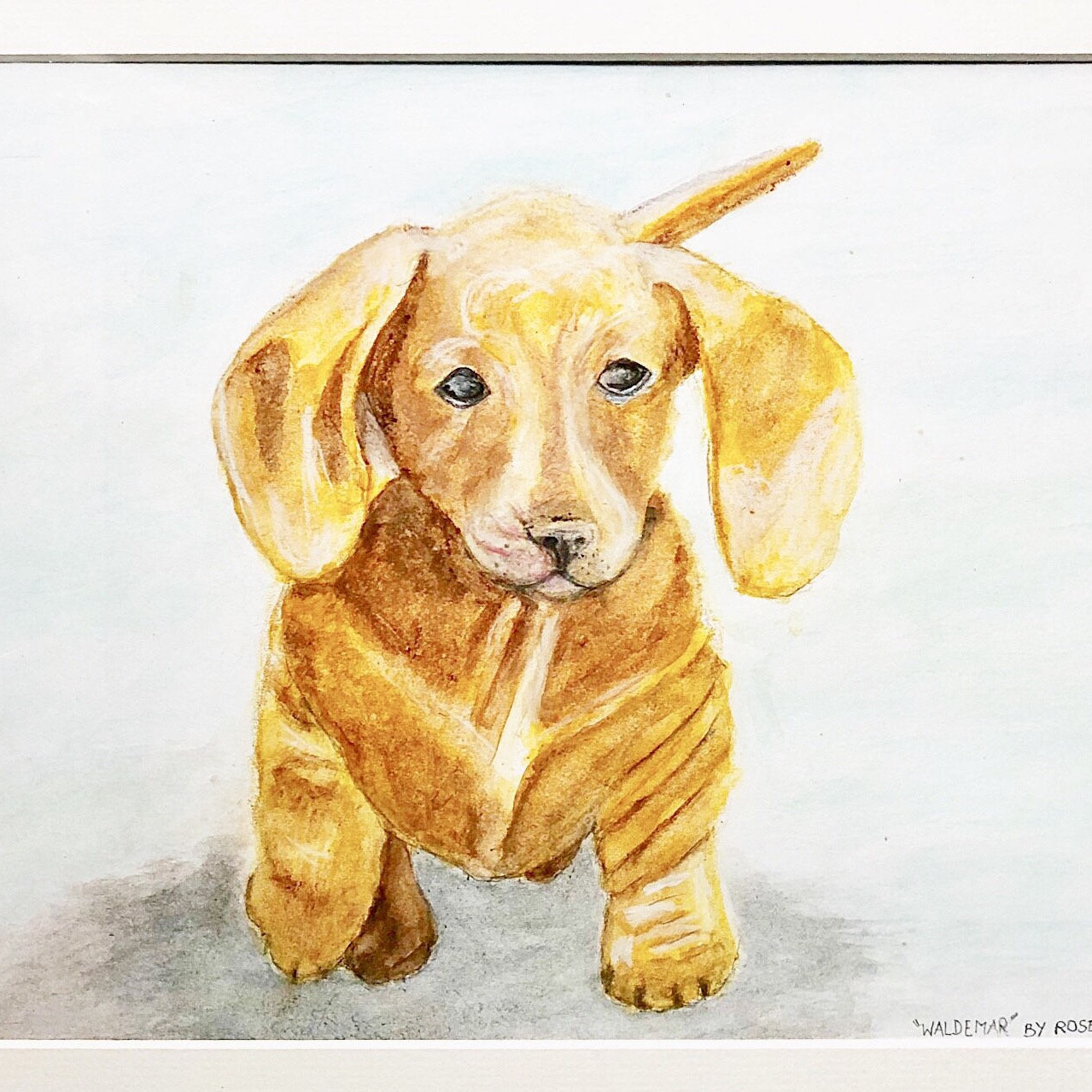 Brown Dachshund Watercolour Painting