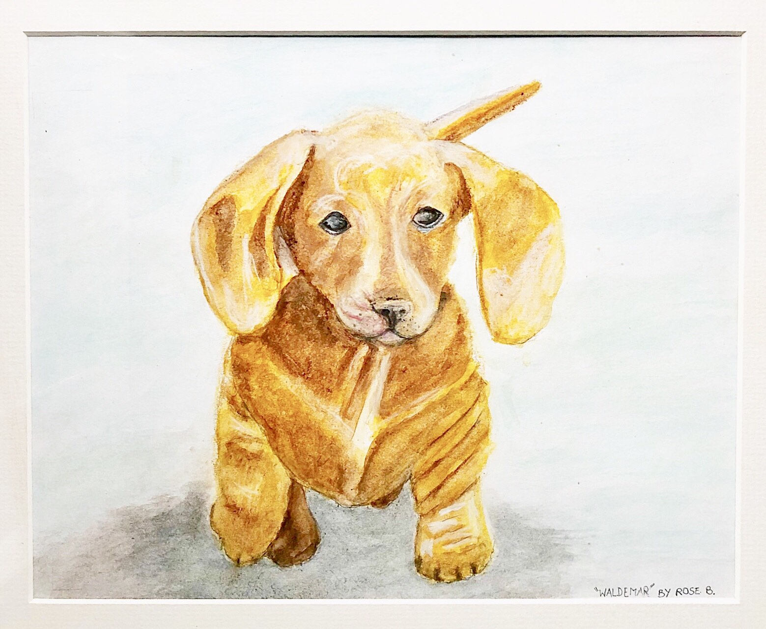 Brown Dachshund Watercolour Painting