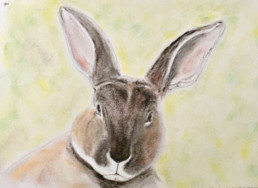 Brown Rabbit Painting - Watercolour Portrait