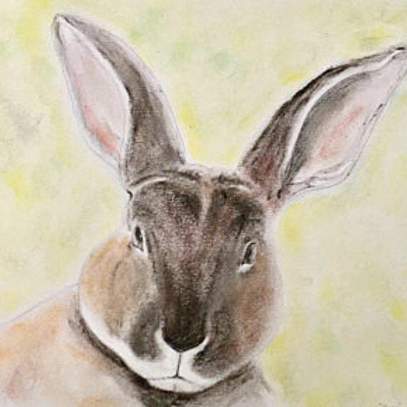 Brown Rabbit Painting - Watercolour Portrait