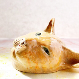 Cat Face - Sleepy Ginger Ceramic