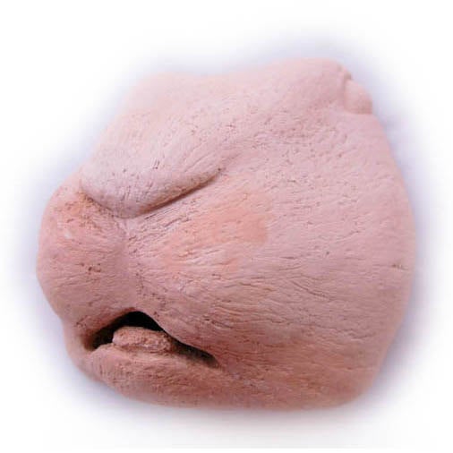 Pink Rabbit Nose - Ceramic Facial Sculpture
